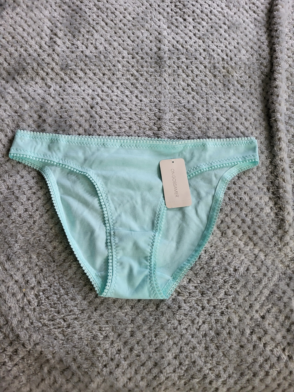 Nwt On Gossamer Light Aqua Bikini Panty Large